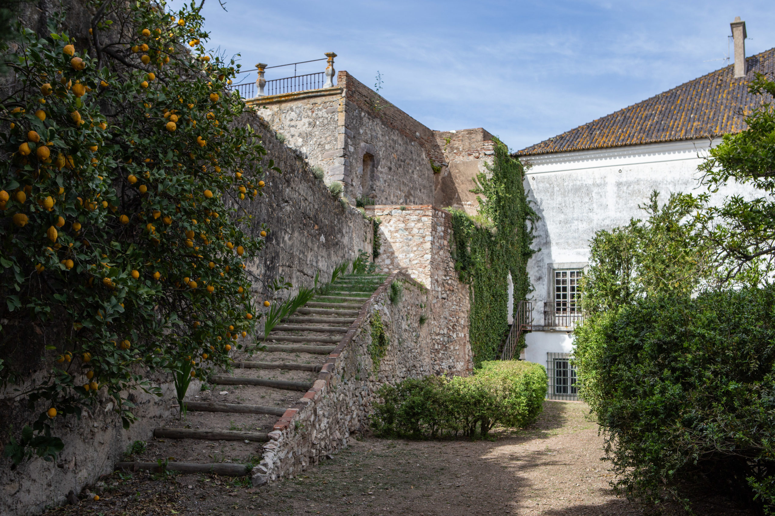 Palacio dos Condes de Ficalho 02 04 22©FabriceZiegler 19 1 scaled 1